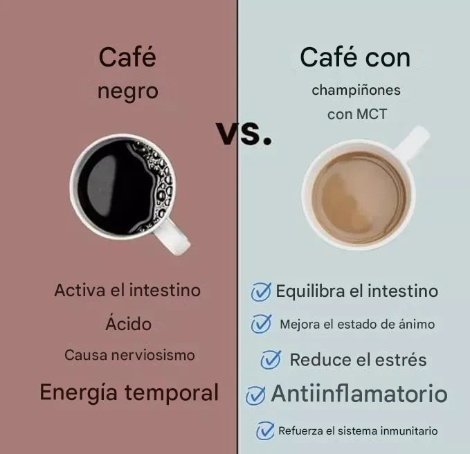 CAFE CON HONGOS RYZE para manténerse concentrado y equilibrado sin cafeina