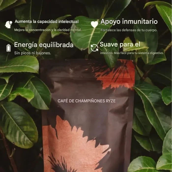 CAFE CON HONGOS RYZE para manténerse concentrado y equilibrado sin cafeina