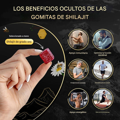 Himalayan Gold Shilajit Gummies – Energía Natural y Vitalidad en Cada Gominola