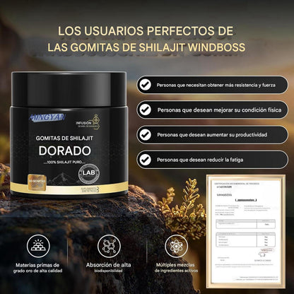 🍯 Gold Shilajit Gummies – Energía y Vitalidad Natural en Forma Deliciosa